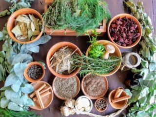 Fitoterapia y plantas medicinales