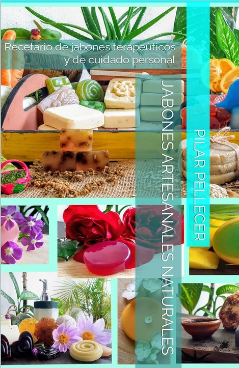 Libro de Escuela Holística BonaVita sobre terapias naturales